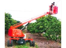 果園采摘車(chē) 閱讀次數(shù)：736